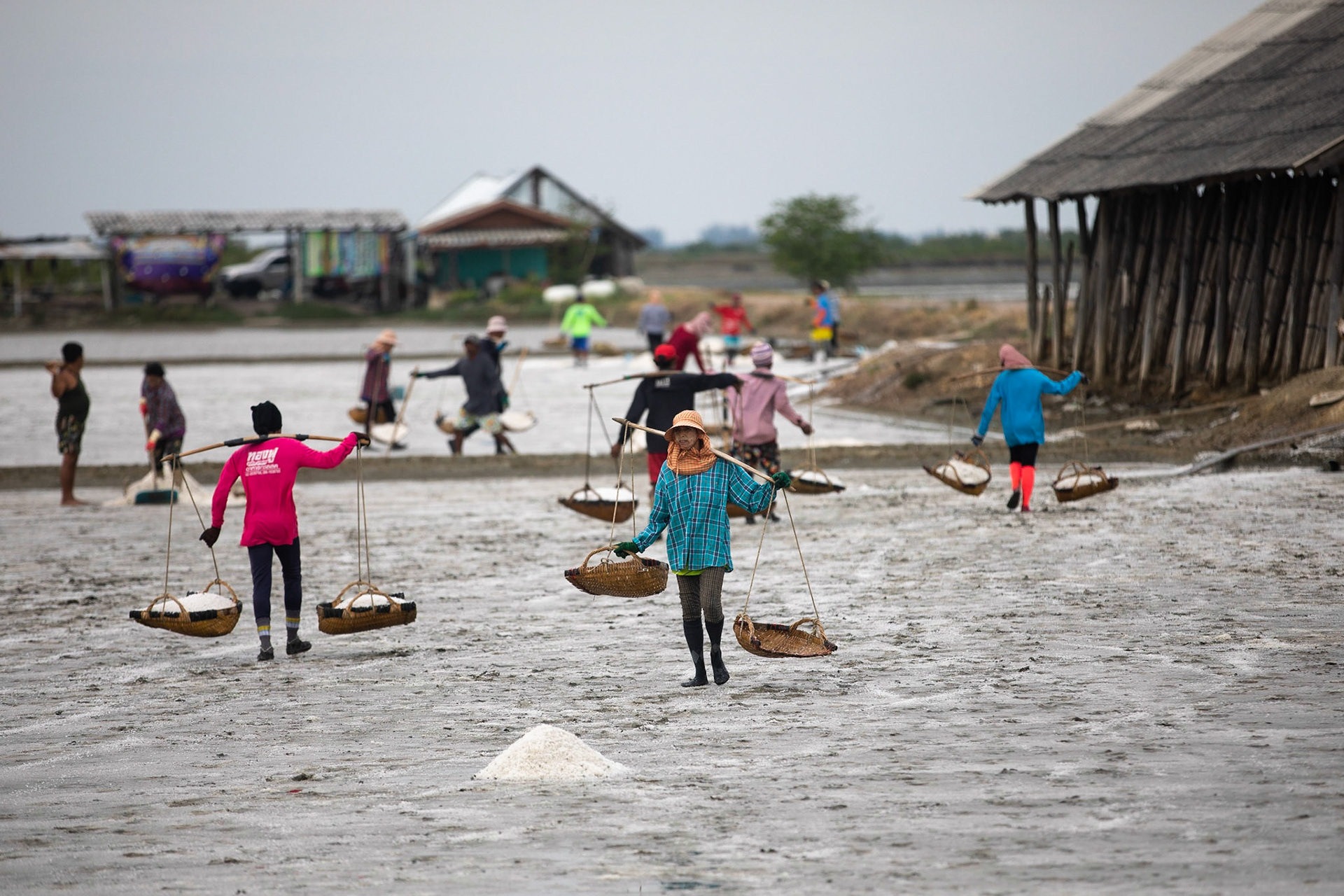 Arbetare på salt plantage /  Workers at the salt farms, Pak Thale, Thailand 2019
