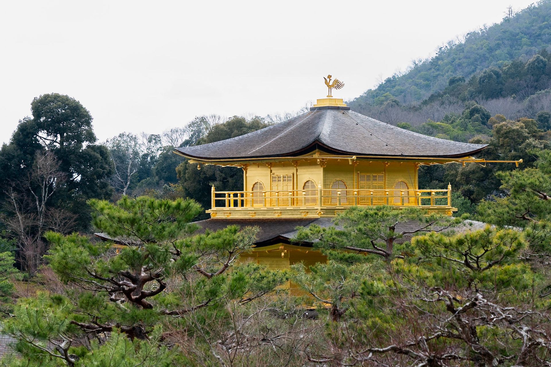 Golden Pavilllion, Kyoto, Japan 2025