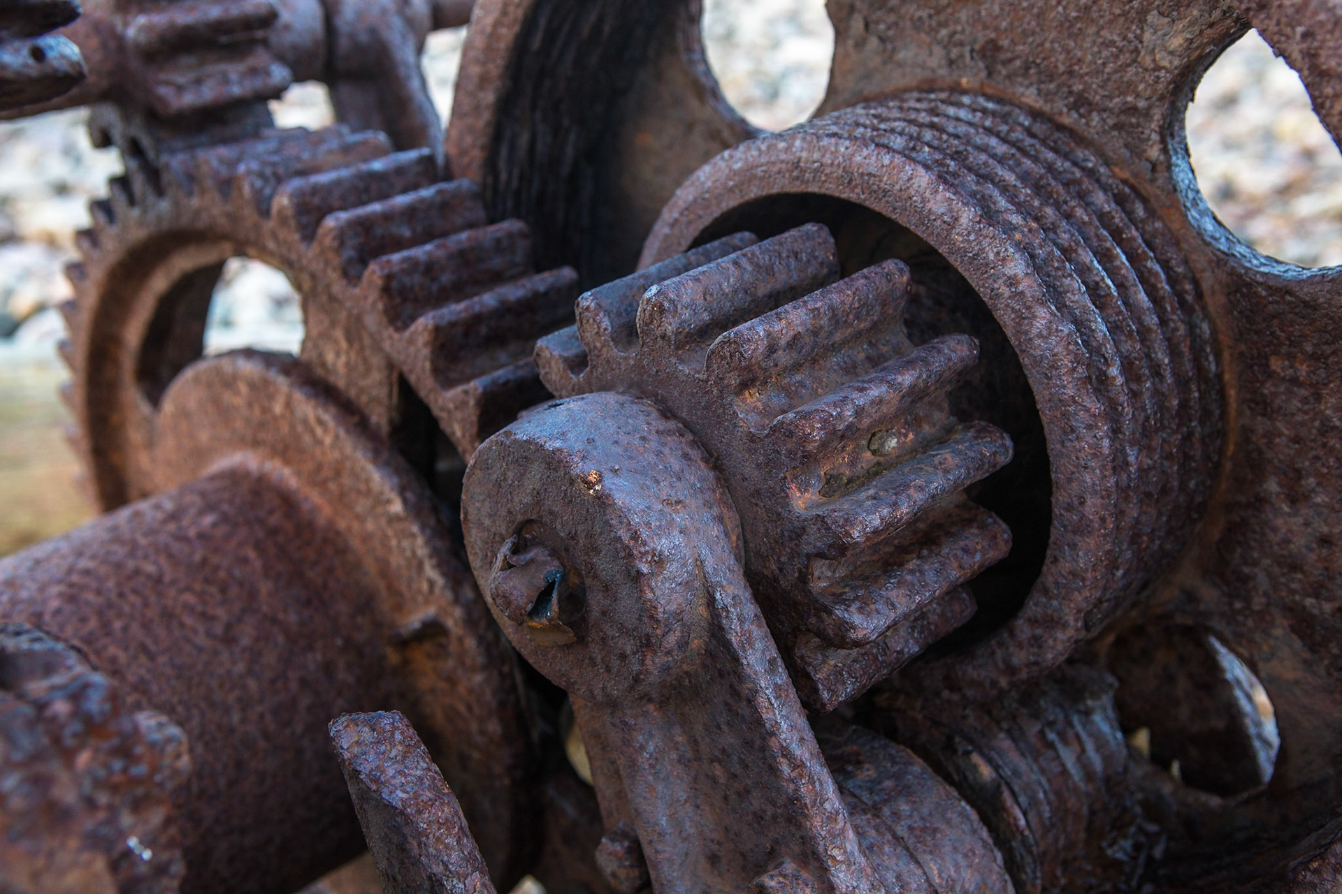 Rostiga kugghjul / Rusty gears, Torekov 2016