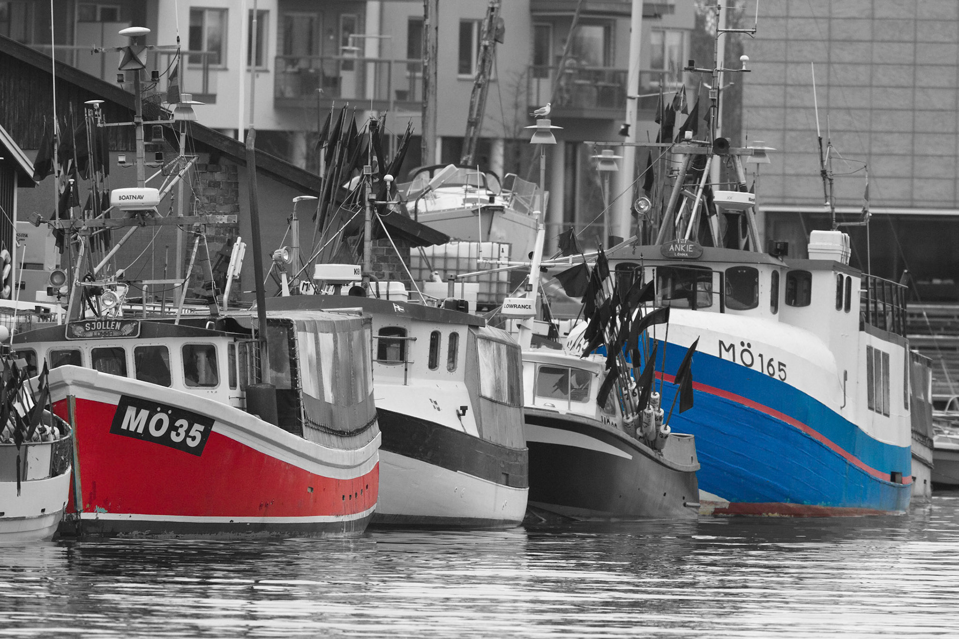 Habour / Hamnen, Lomma 2012