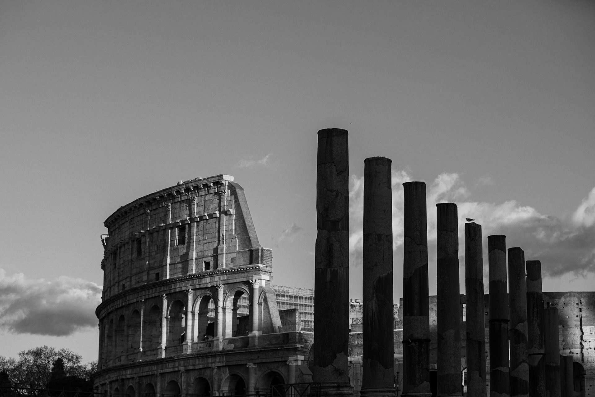 Colosseum, Rome Italy 2019