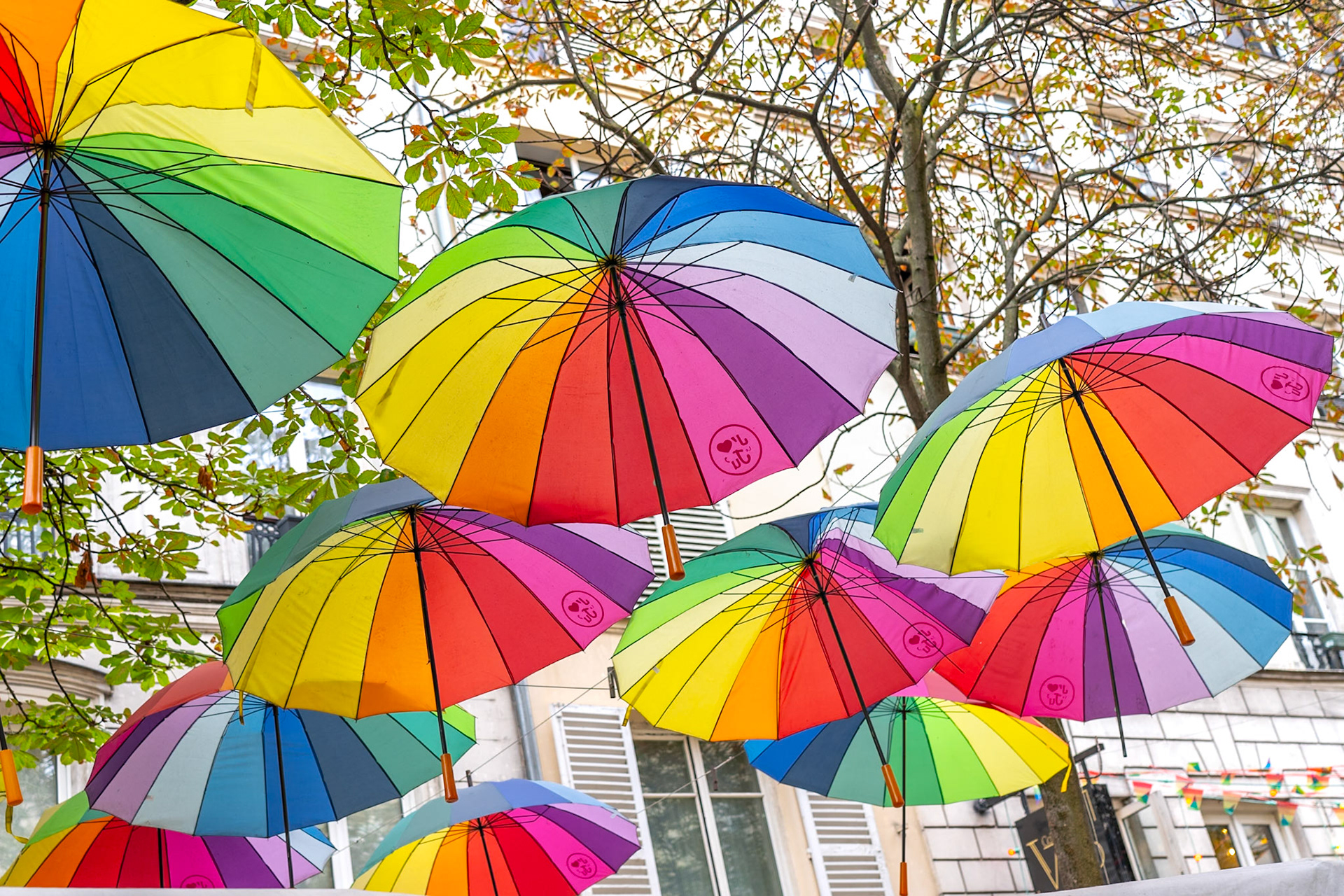 Umbrellas, Paris France 2025
