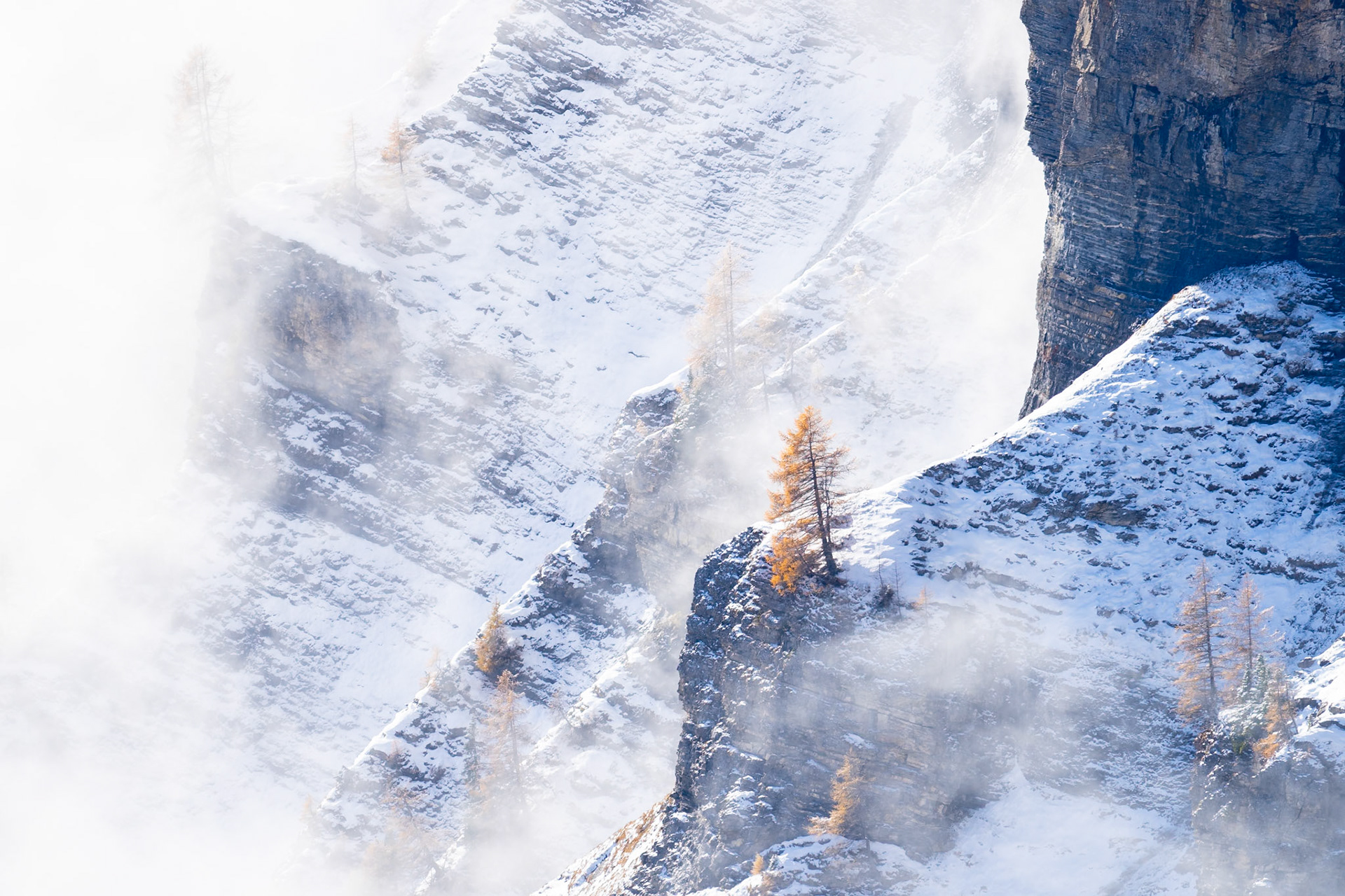 Gemmipass Switzerland 2025