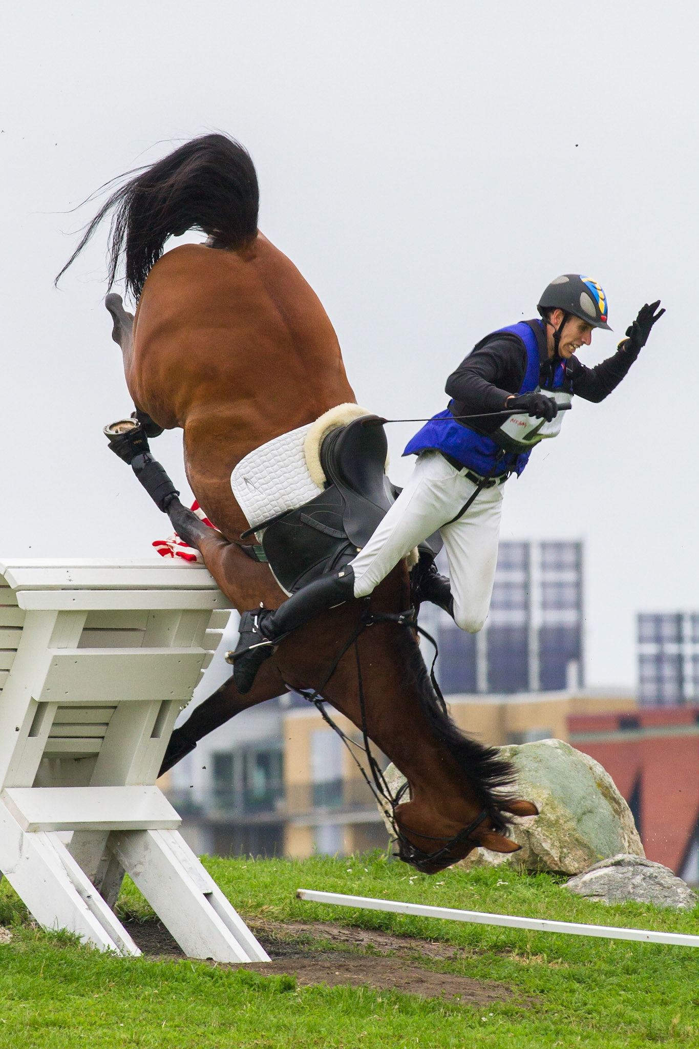 Christian Malmgren on Cape Breeze JM fall over a steeple during the cross country ride. It was only minor injuries on the rider and the horse made it without any consequences. Malmö Horse Show 2010.