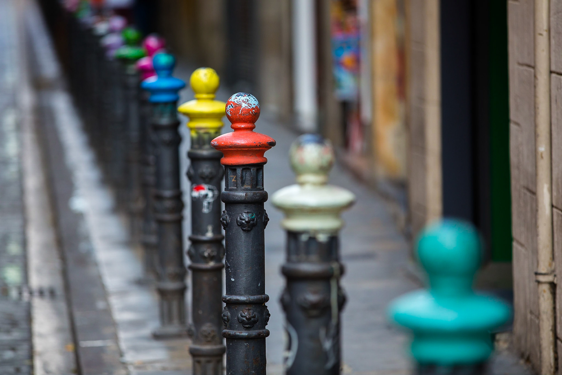 Gata i Barri Gothic / Street in Barri Gothic, Barcelona Spanien 2017