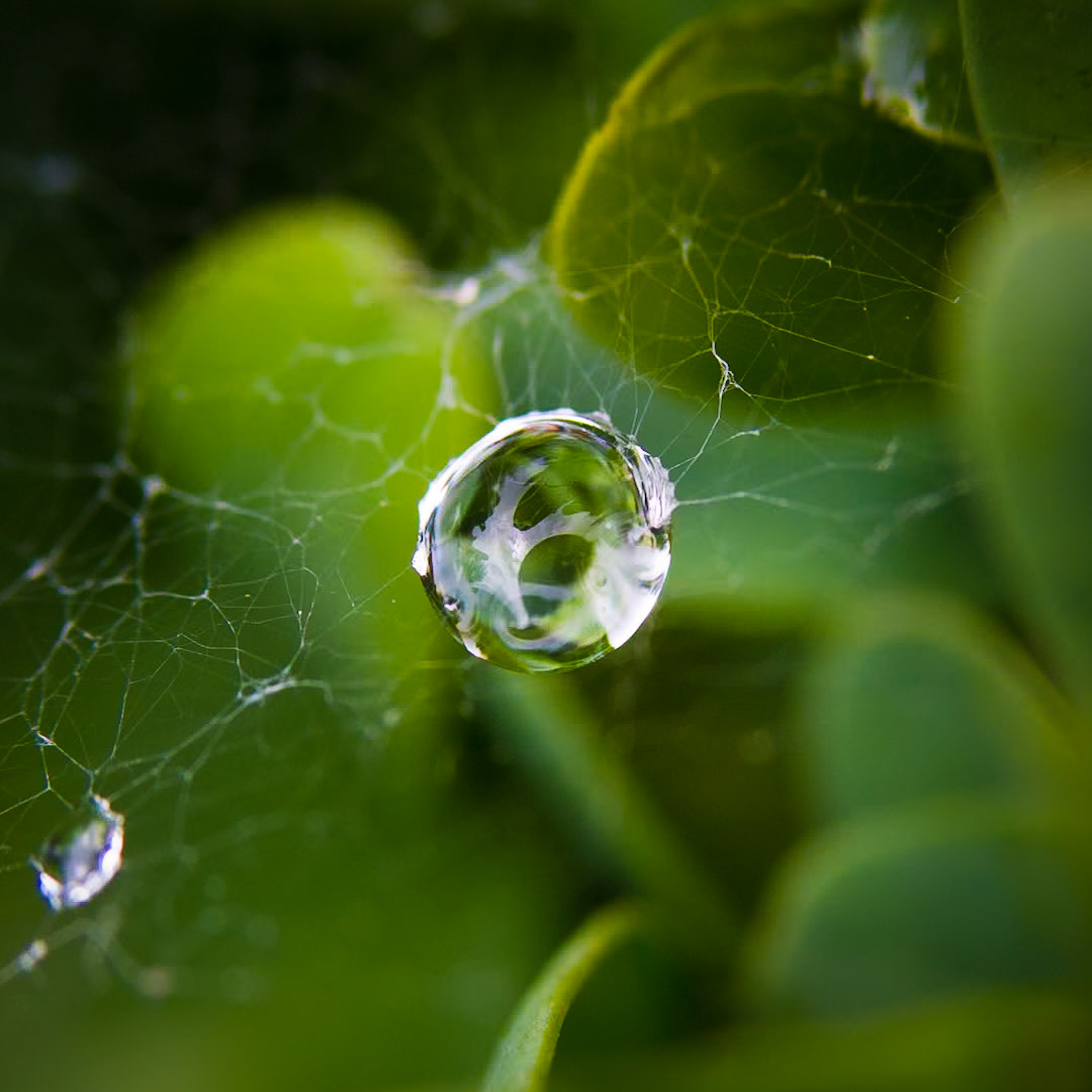 Vattendroppe / Water drop, Stångby 2011