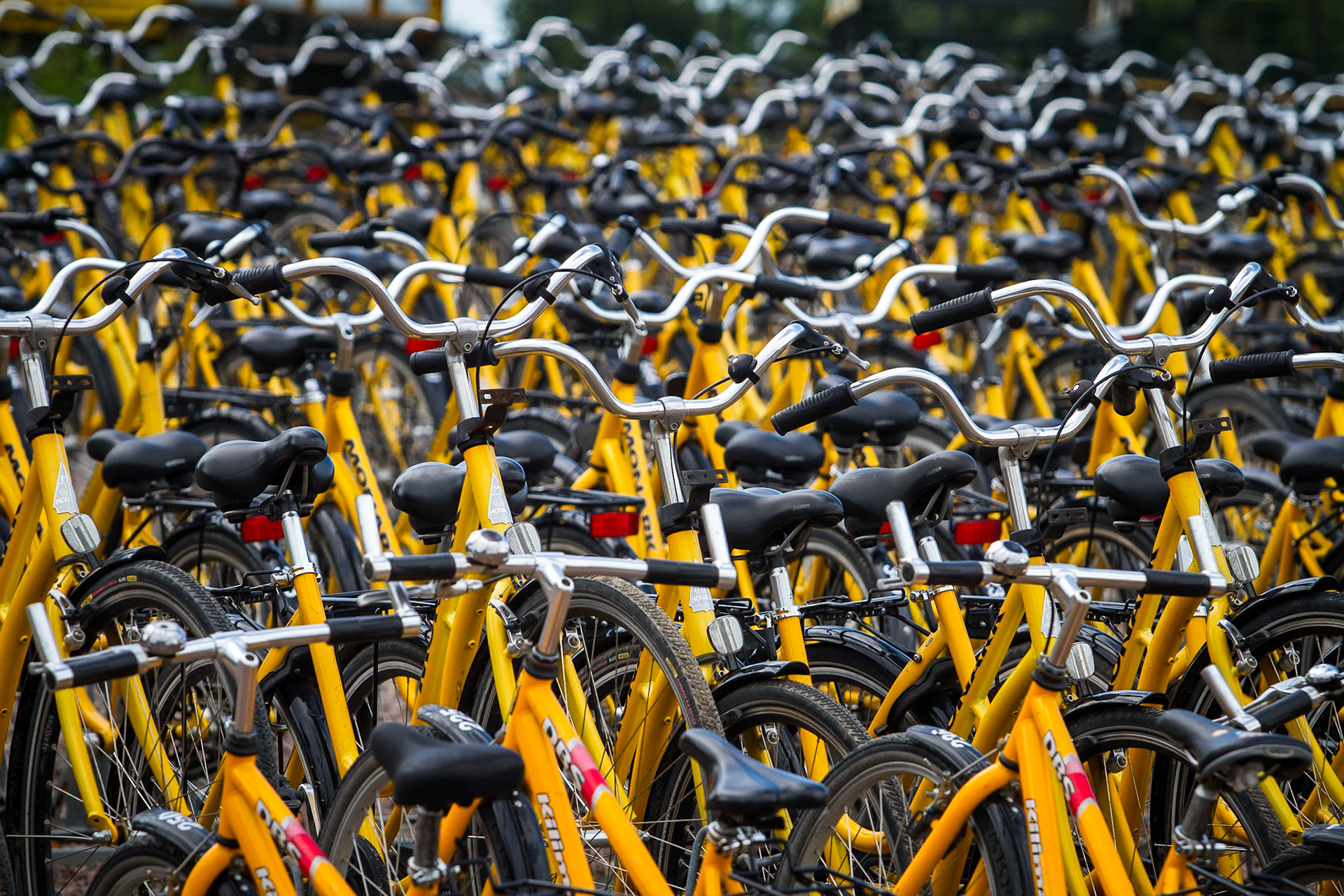 Cyklar / Bikes, Ven 2011