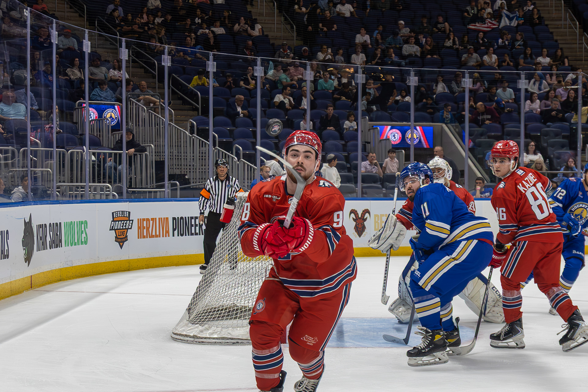 Shot for the Israel Elite Hockey League.