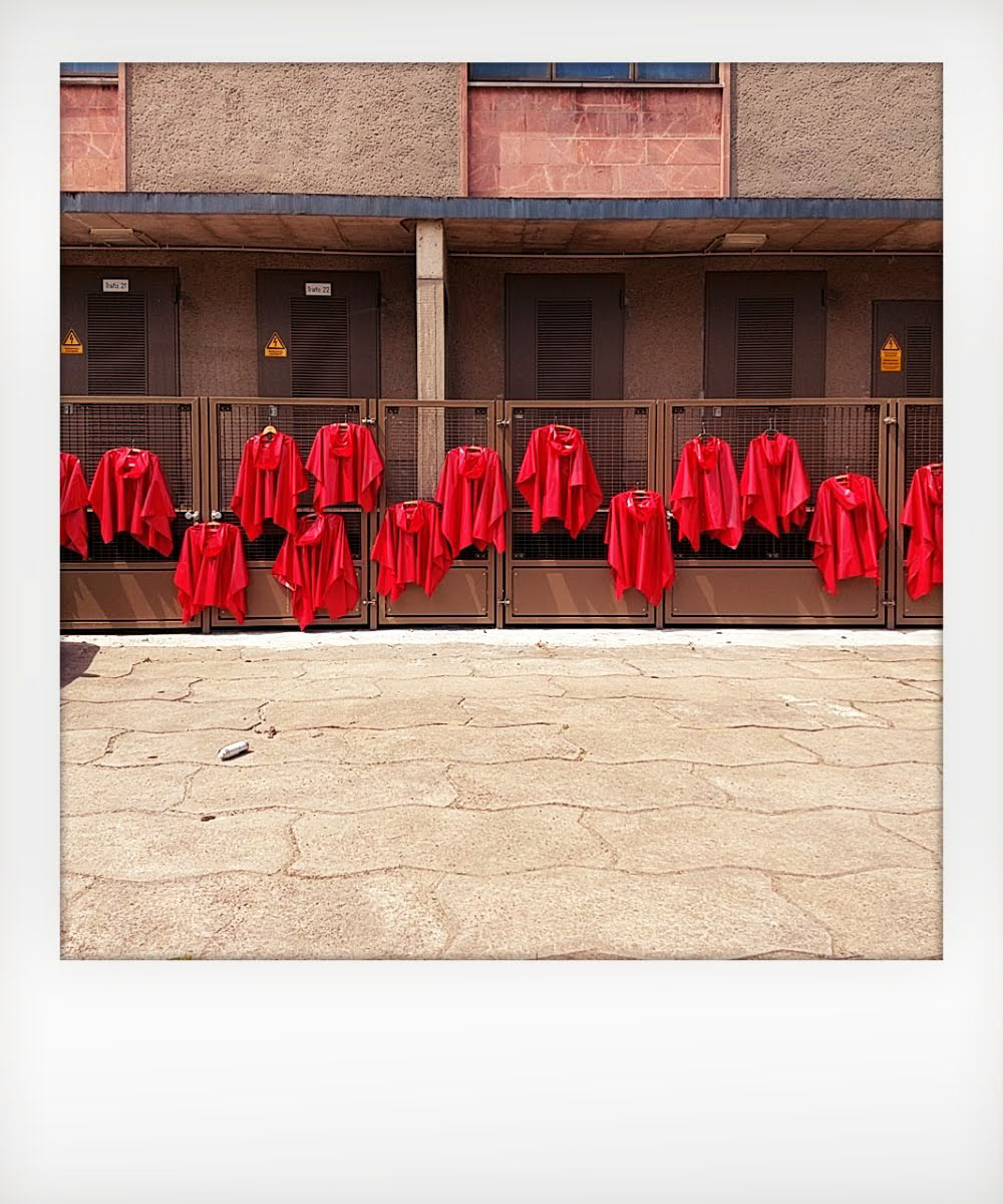 Red riding hoods