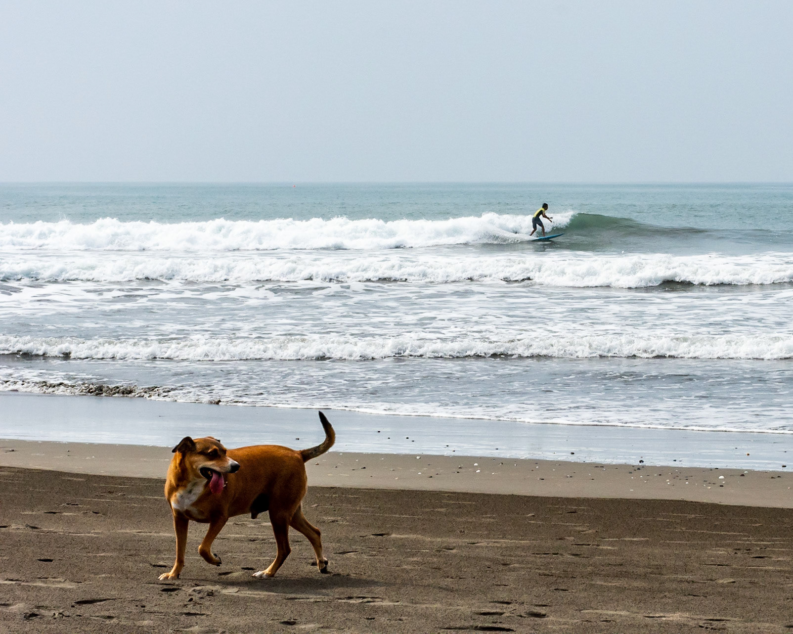 Esterillos Oeste, Coata Rica