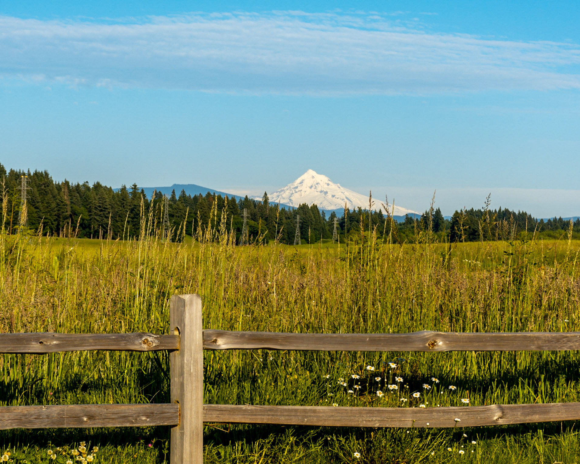 May 28. Into the Distance.  Lacamas Lake Elementary School, Camas, Washington, United States