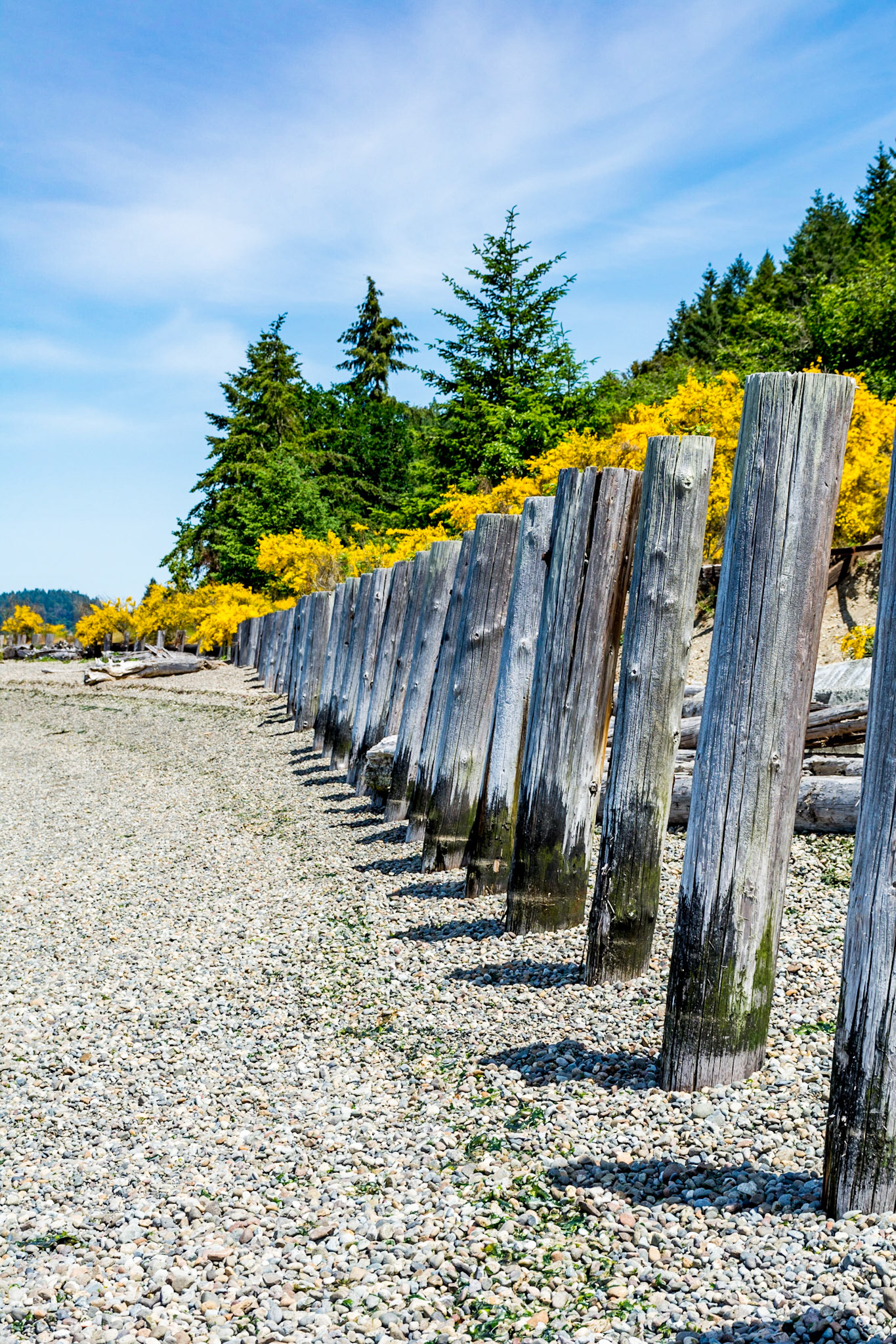 Puget Sound via Sequalitchew Creek Trail, DuPont, Washington, United States