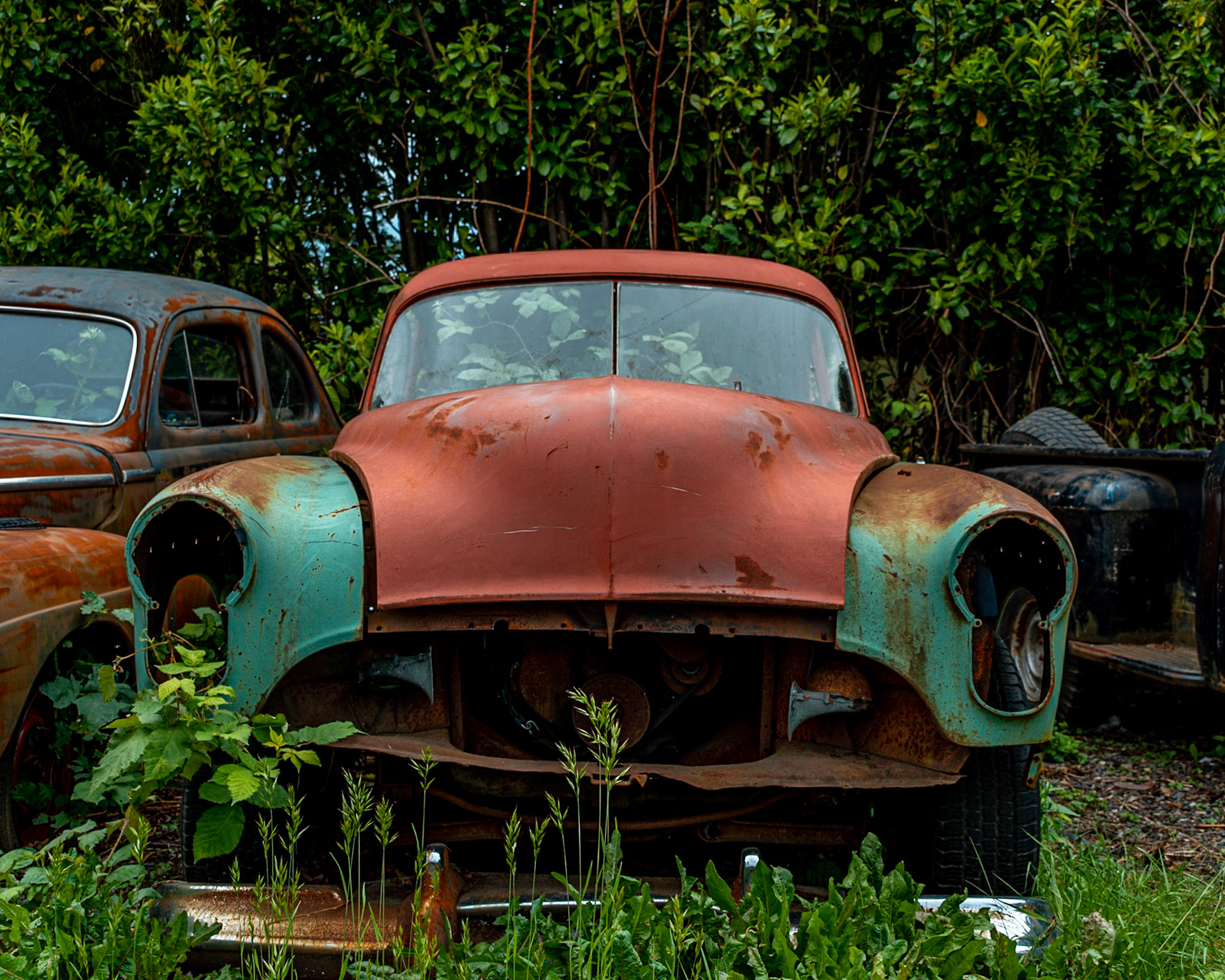 Stevenson, Washington, United States