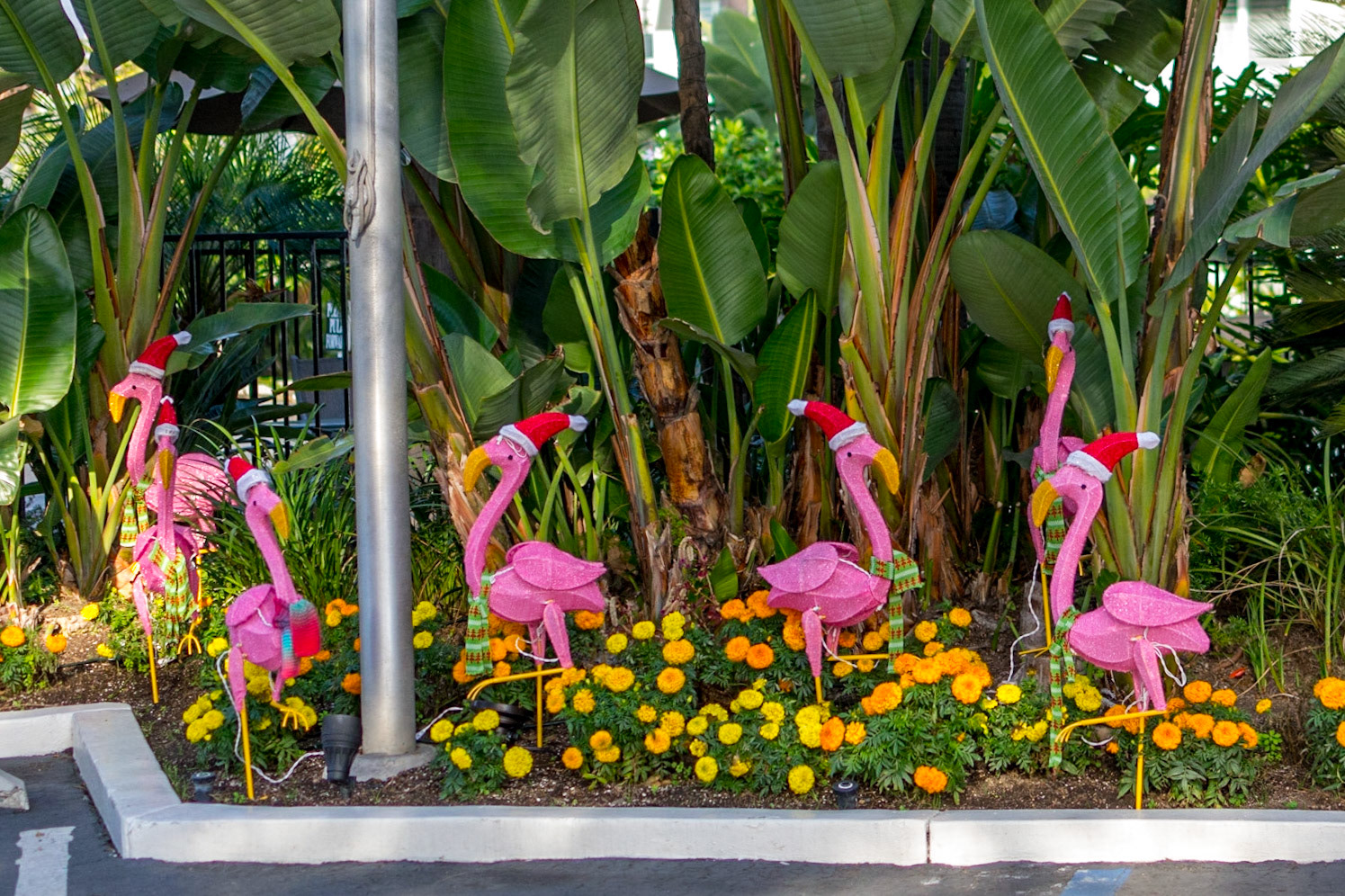 Coronado Island, California, United States