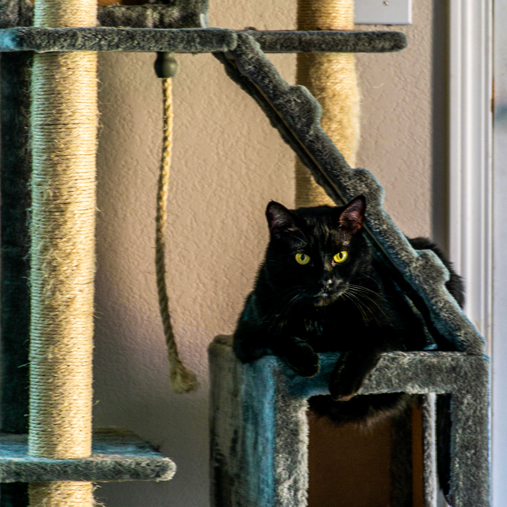 July 2. He's Watching.   Bennett/Warner, Camas, Washington, United States