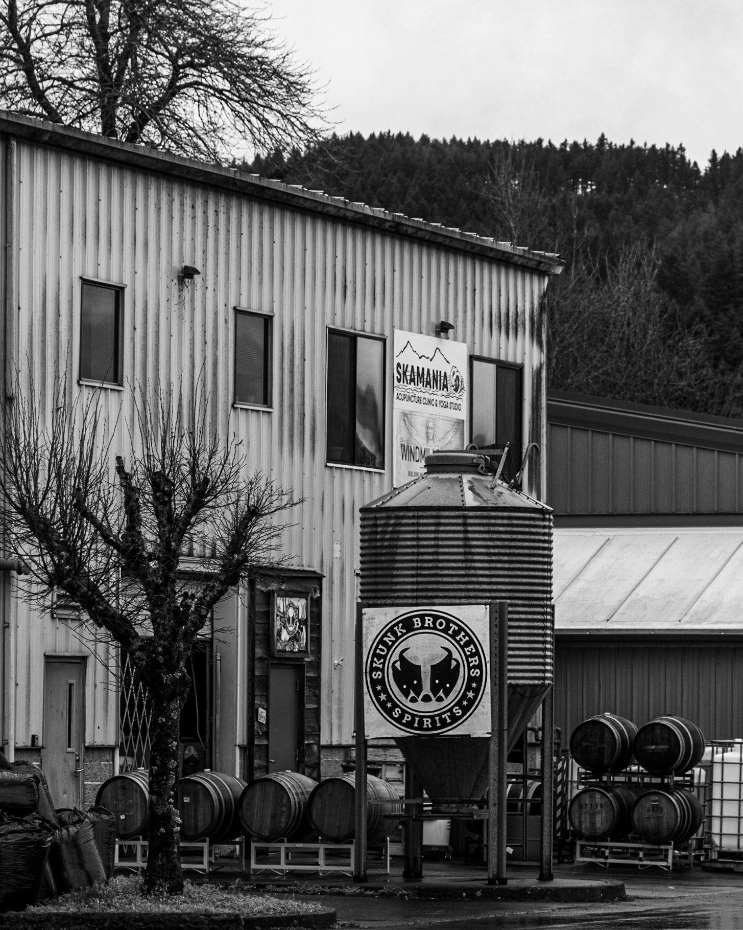 February 1.  Picking  Up  Essentials.  Skunk Brothers Spirits, Stevenson, Oregon, United States