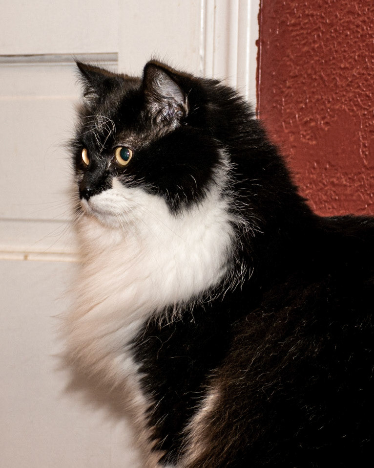 January 25. In Profile.  Bennett/Warner, Camas, Washington, United States