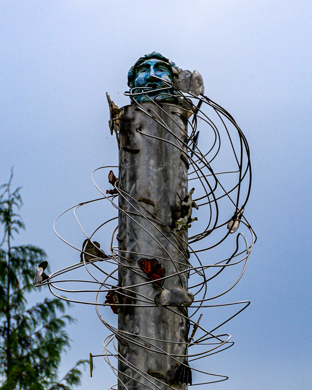 June 12. Wind.  Dick Beaver Park, Washougal, Washington, United States