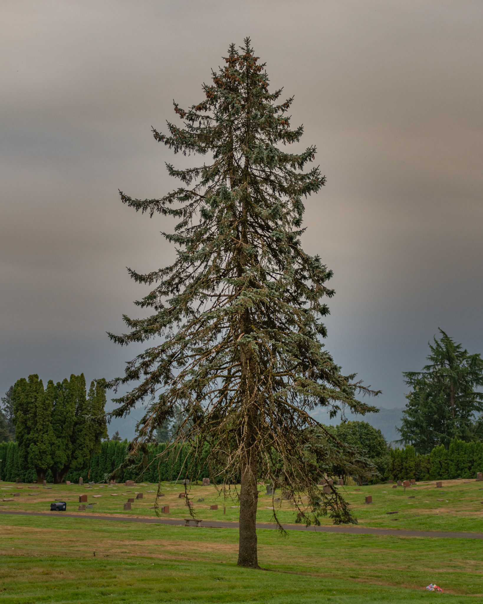 September 9. Standing Alone.  Camas Cemetery, Camas, Washington, United States