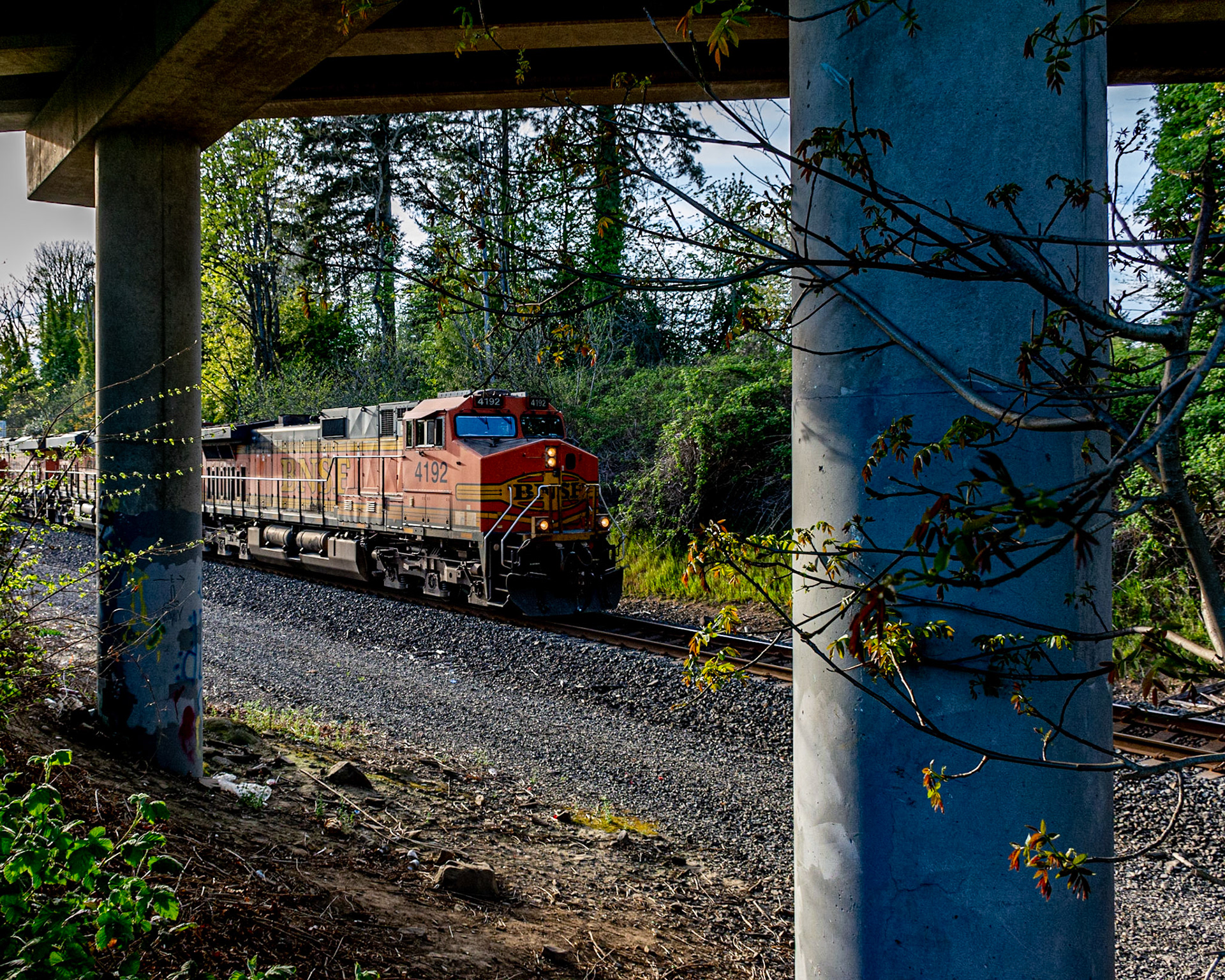 April 17. Quarantrain? Coronarail? Washougal, Washington, United States