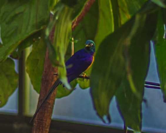 Oregon Zoo, Portland, Oregon, US