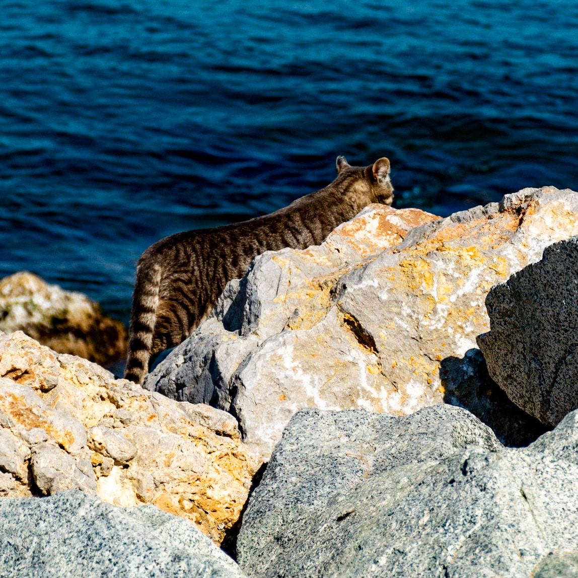 Barceloneta Beach, Barcelona, Catalonia, Spain