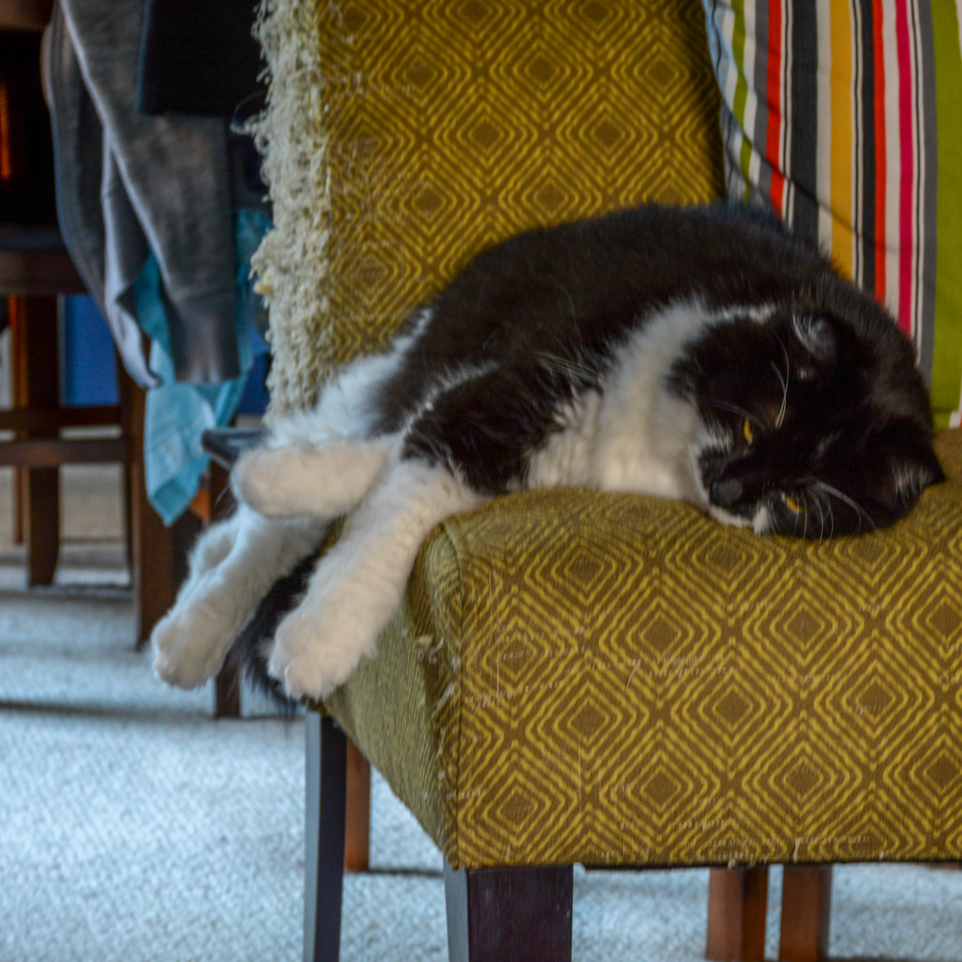 September 20. Hangover Day.  Bennett/Warner, Camas, Washington, United States