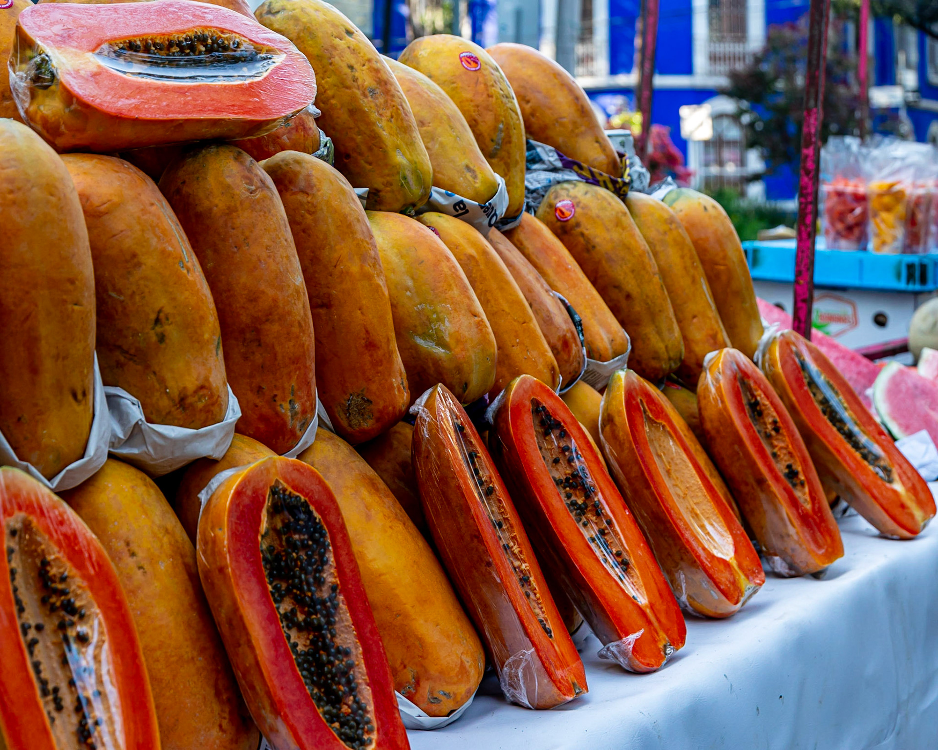 Jardin Pushkin, Mexico City, Mexico