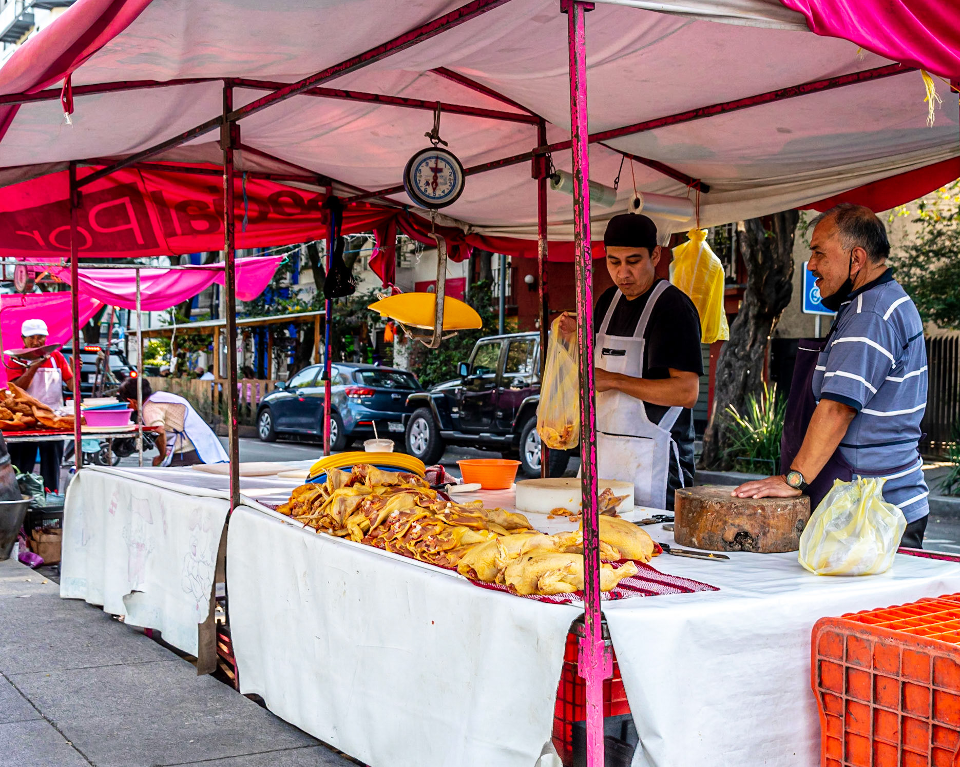 Jardin Pushkin, Mexico City, Mexico