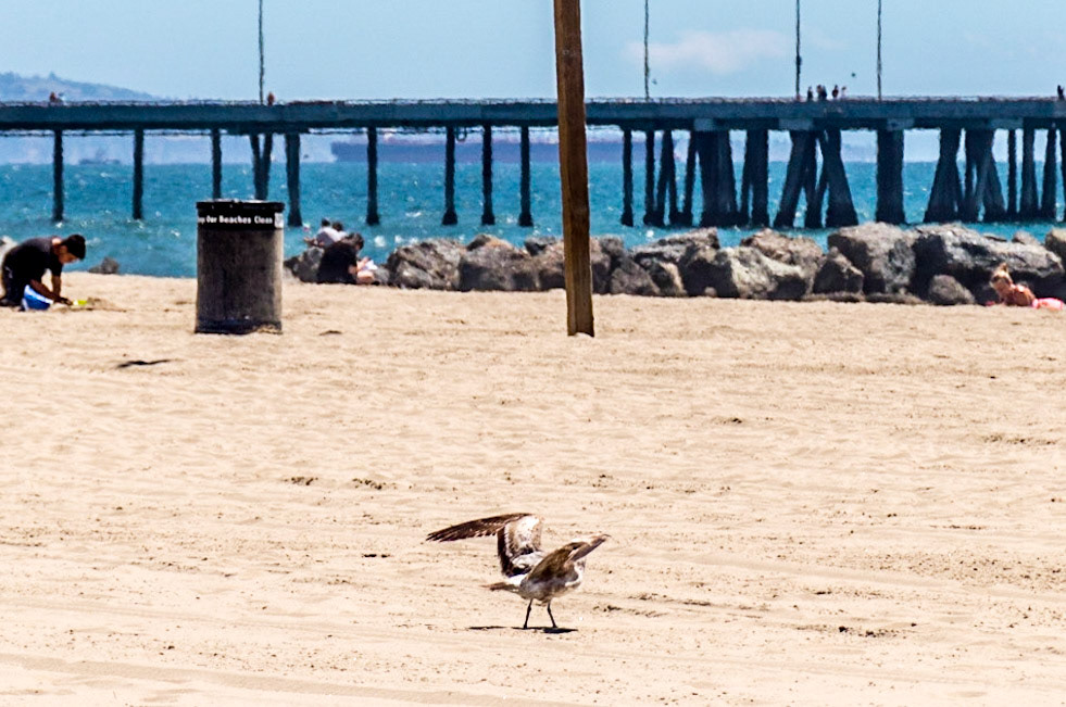 Coming in for a landing