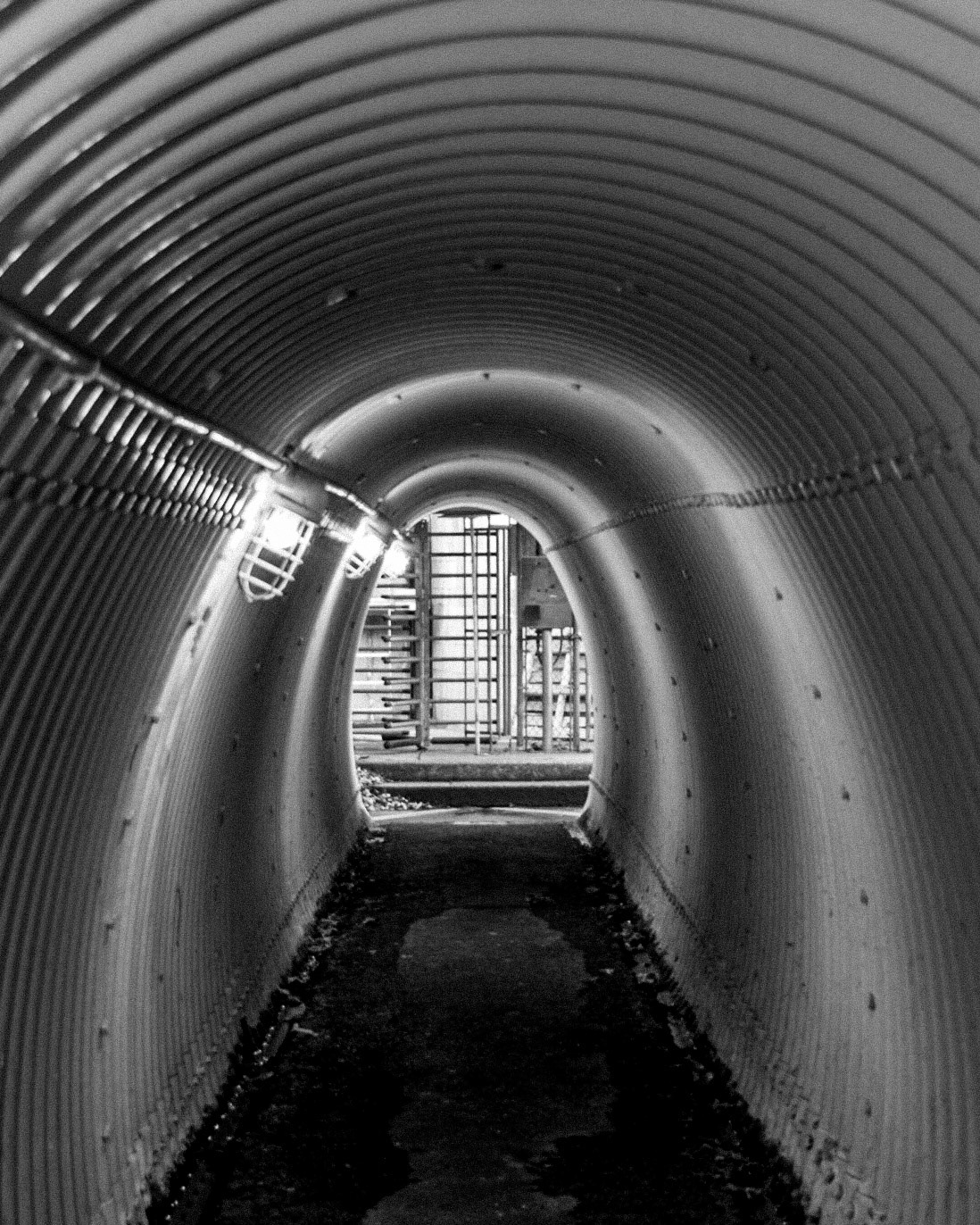 March 14. Crossing Under.  NW Sixth Avenue Pedestrian Undercrossing, Georgia Pacific Camas Mill, Camas, Washington, United States