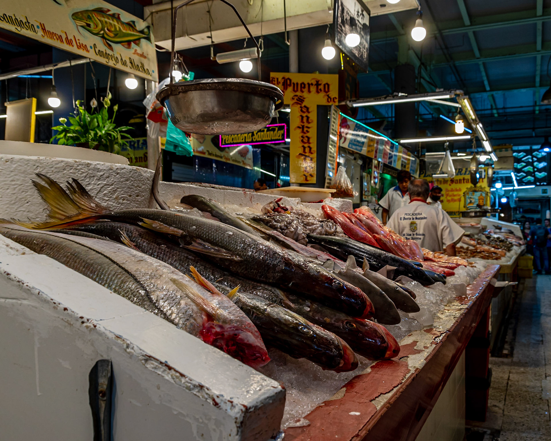 Mercado de San Juan, Mexico City, Mexico