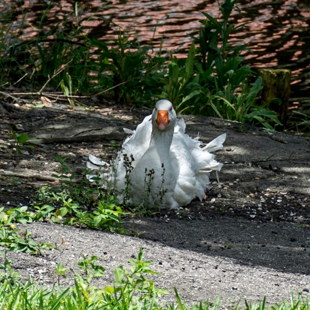 New Orleans, Louisiana, Unted States