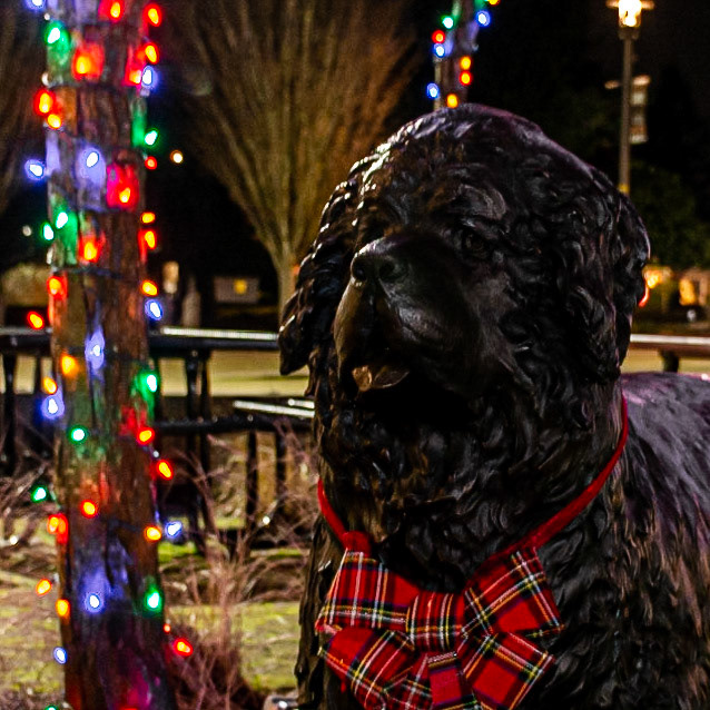 January 3 .  Seaman.  Reflection Plaza, Washougal, Washington, United States