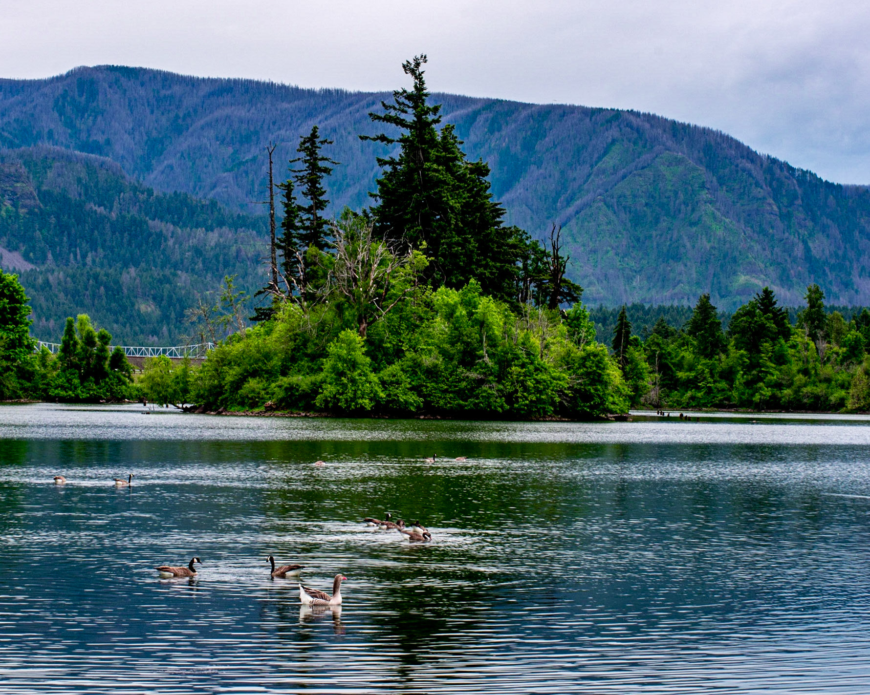 Stevenson, Washington, United States