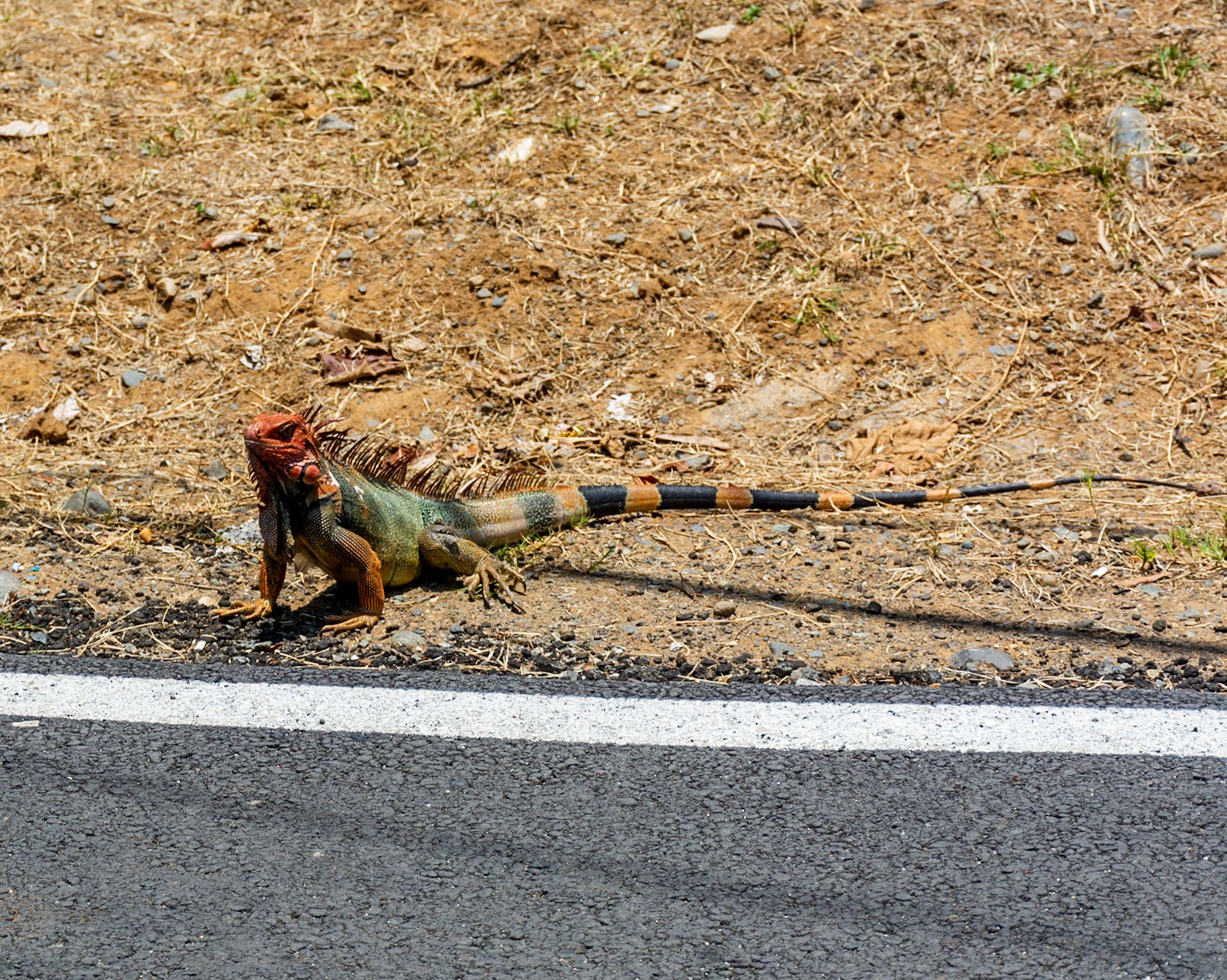 Esterillos Oeste, Coata Rica