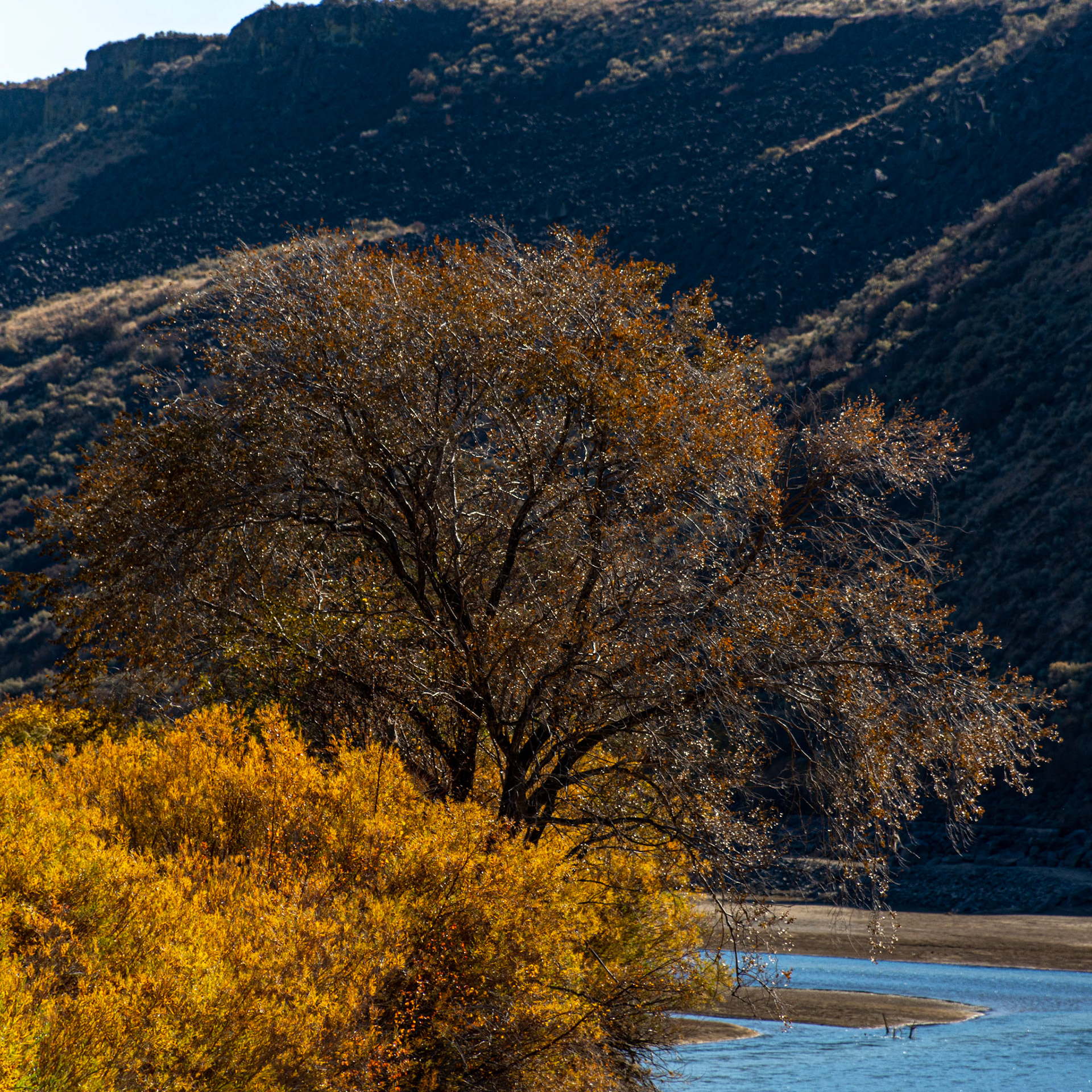 Boise, Idaho, United States