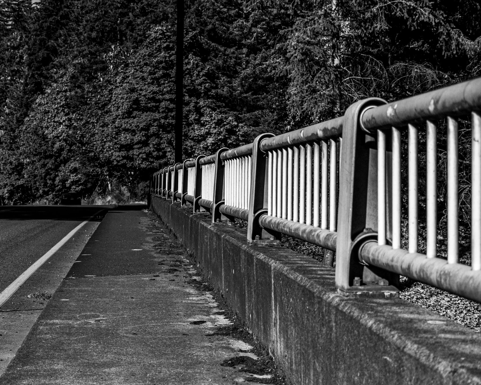 July 15. Hand Rail.  Above SR-14, Camas, Washington, United States