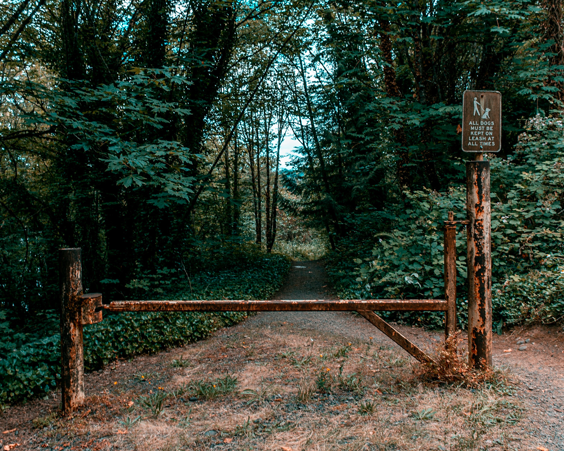 June 29. Gated Path.  Lacamas Lake, Camas, Washington, United States