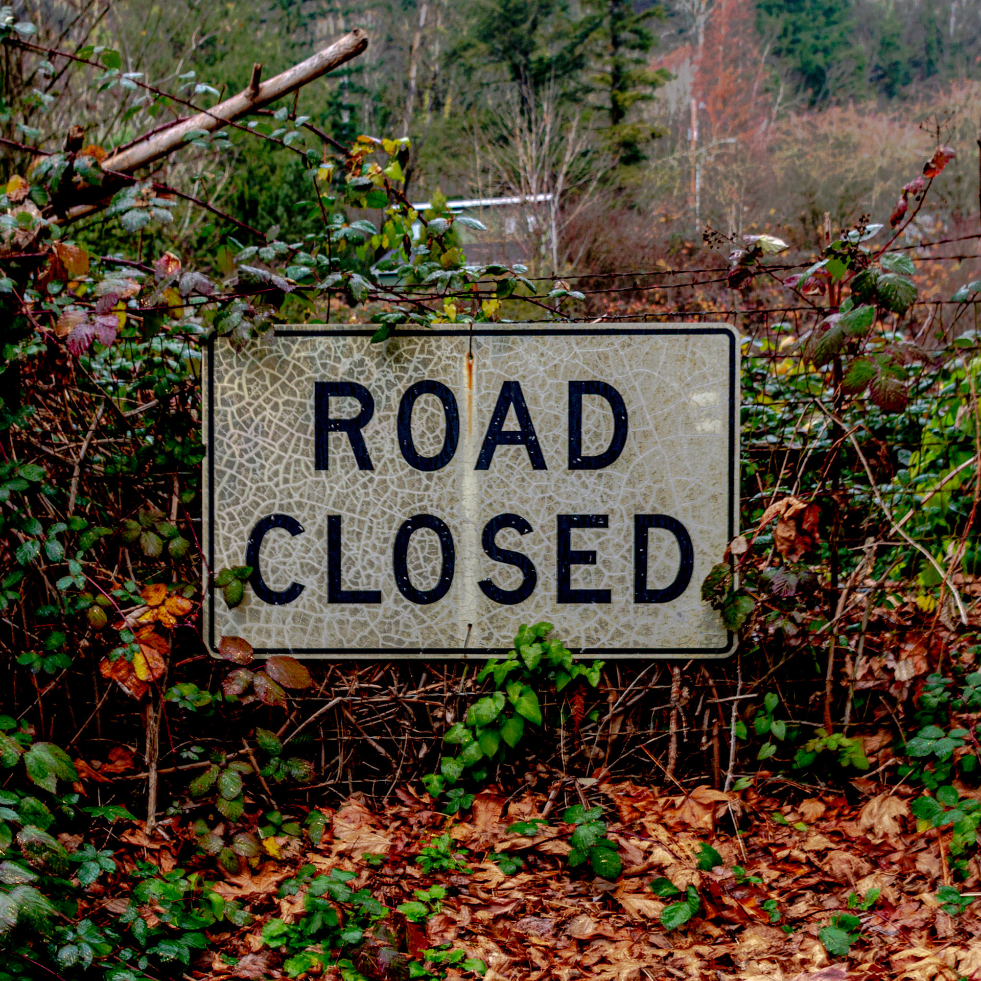 December 10. Road Closed. Camas, Washington, United States