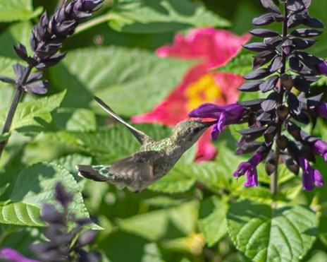 Oregon Zoo, Portland, Oregon, US