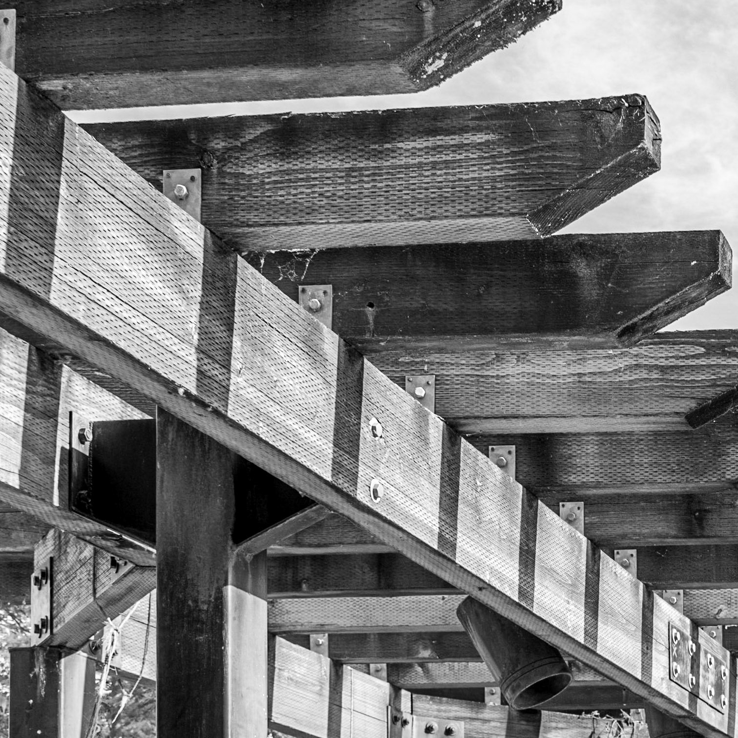 July 3. Park Textures.   Parkersville Landing Historic Park, Washougal, Washington, United States