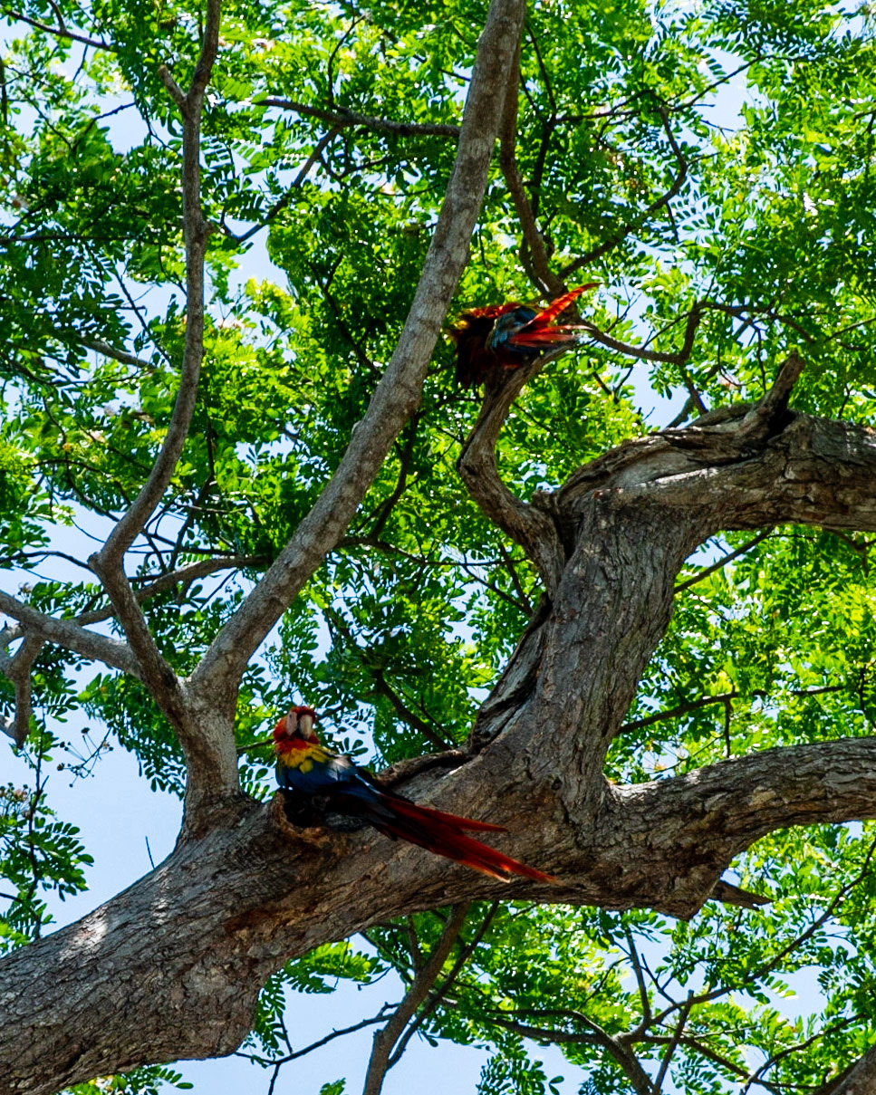 Esterillos Oeste, Coata Rica