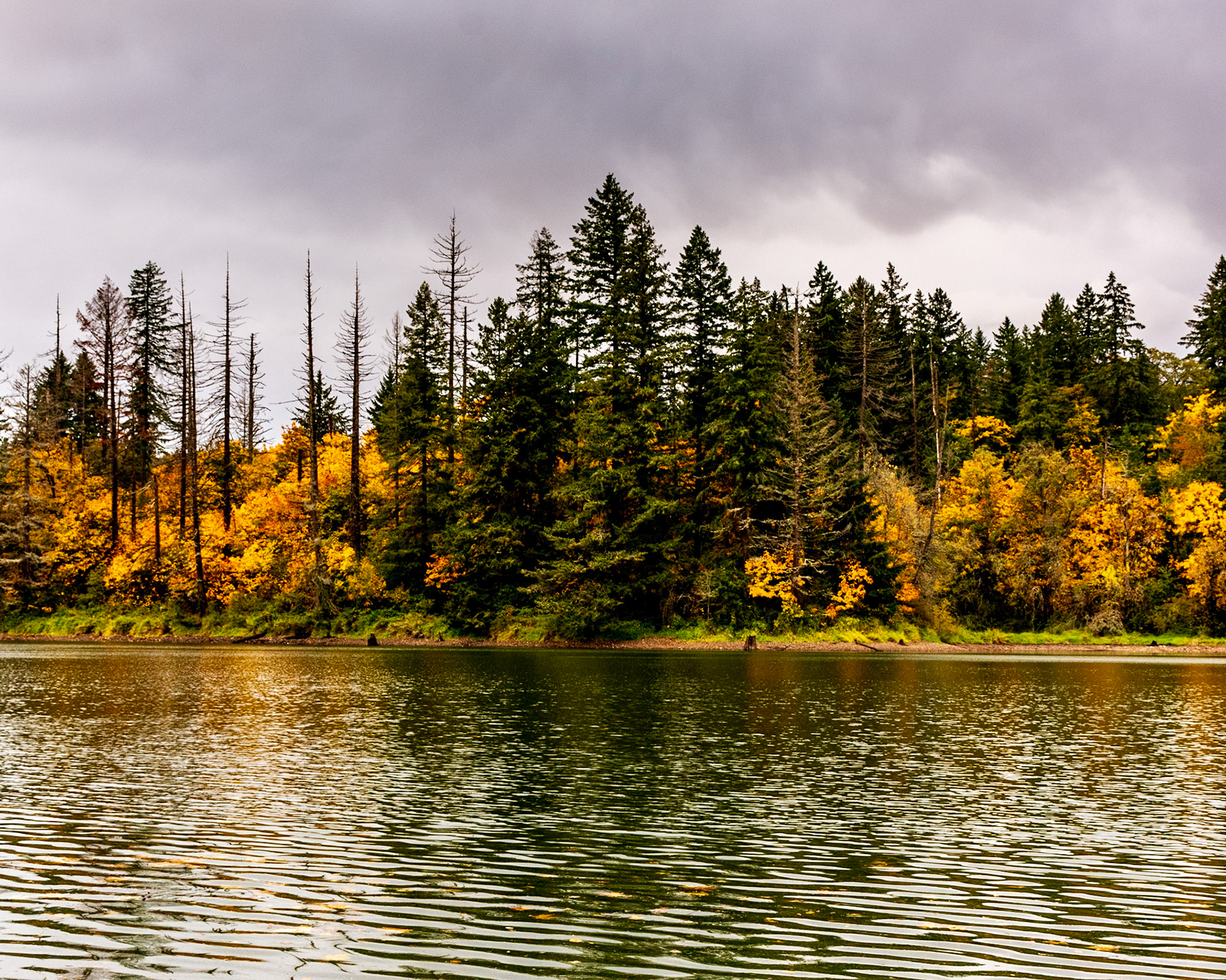 Lacamas Regional Park, Camas, Washington, United States
