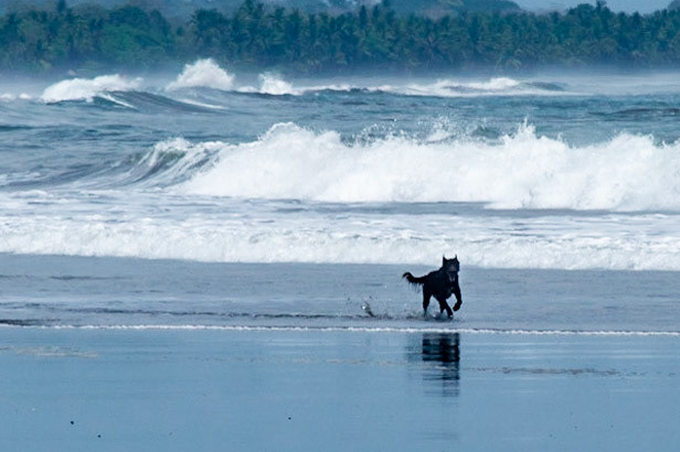 Esterillos Oeste, Coata Rica