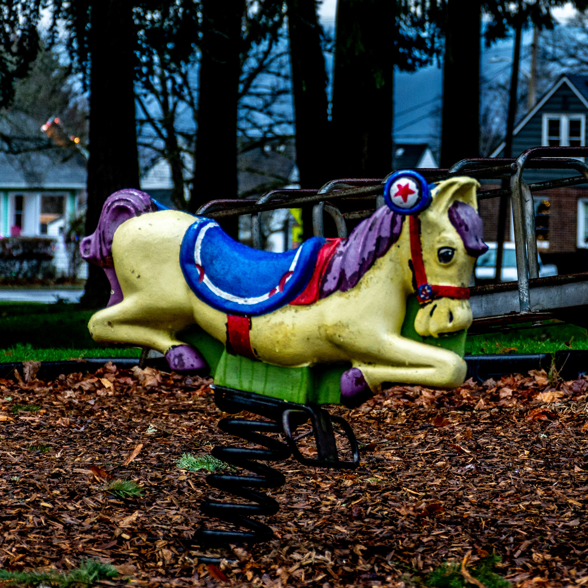 December 25. Hobby Horse..  Crown Park, Camas, Washington, United States