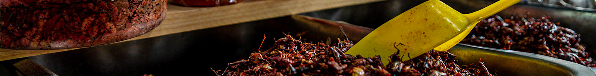 Mercado de San Juan, Mexico City, Mexico