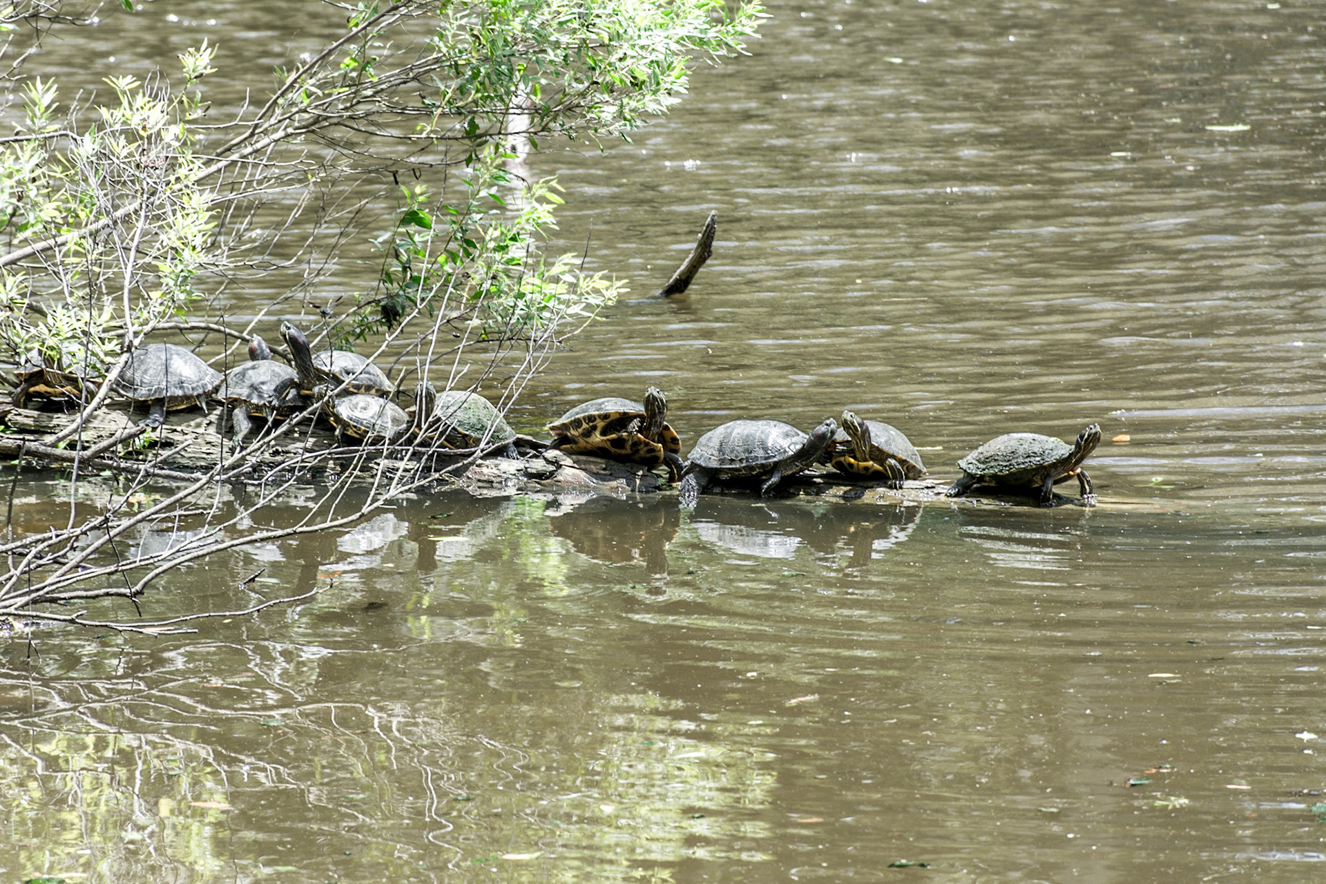New Orleans, Louisiana, Unted States