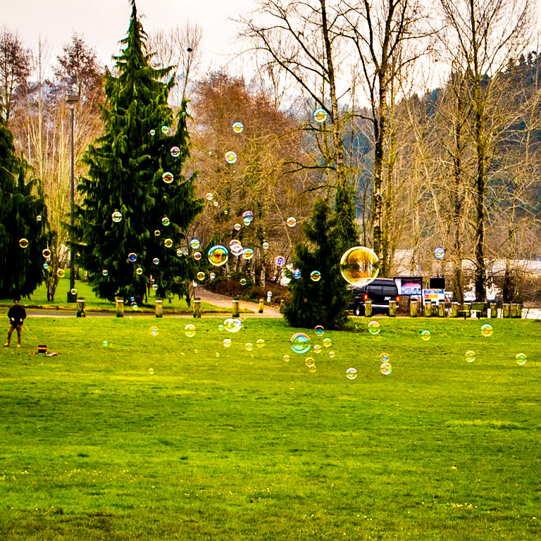 Cathedral Park, Portland, Oregon, United States