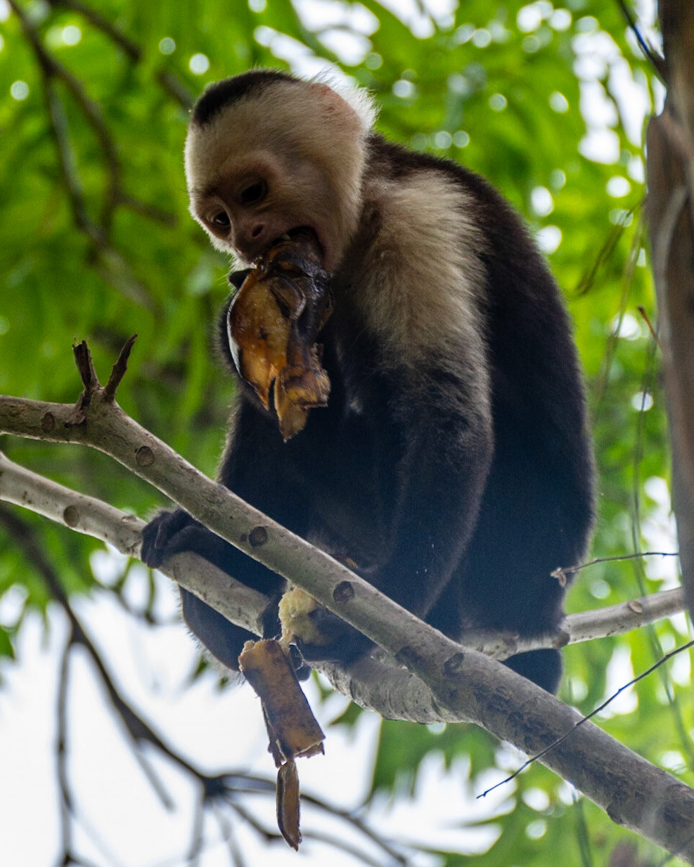 Manuel Antonio, Costa Rica